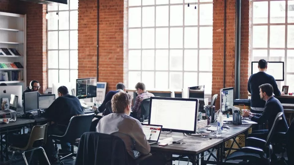 Как выбрать веб-студию в Светлом по кейсам