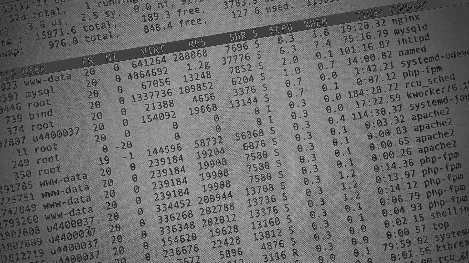 Настройка сервера в Светлом